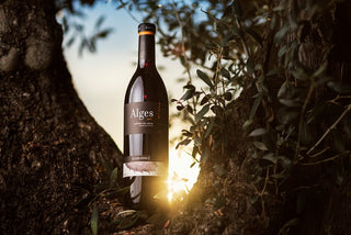 Especial vinos tintos CLOS PONS – Alges