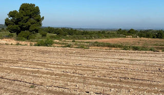 MALBEC, nueva plantación de viñedo a CLOS PONS