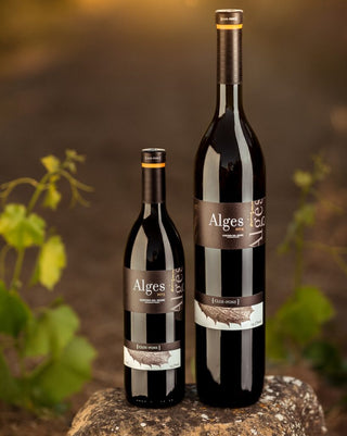 Formato Mágnum en vinos, por qué elegirlo?